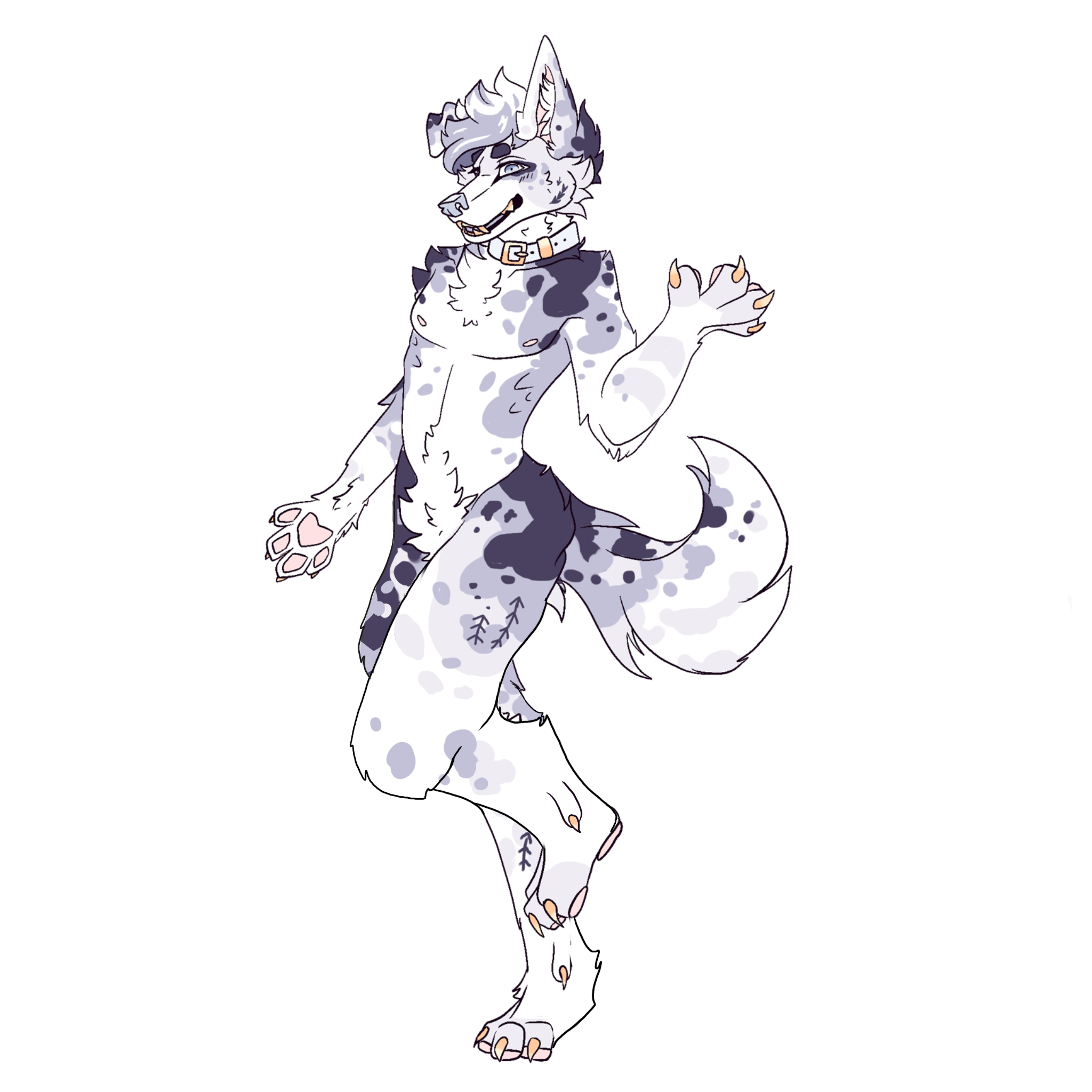 digitigrade