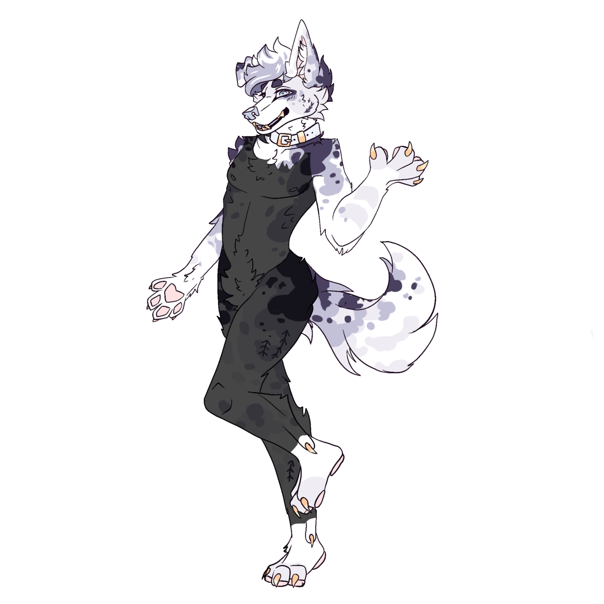full partial