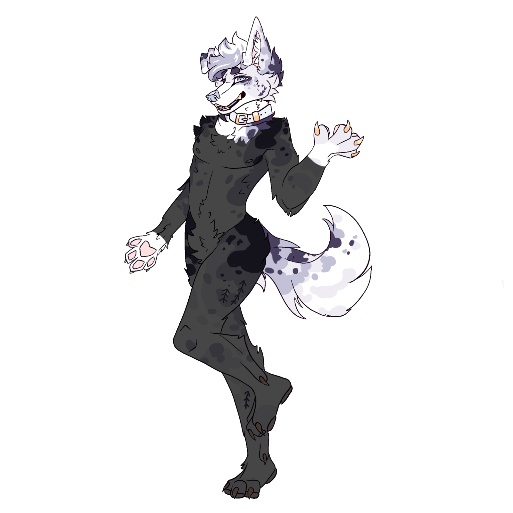 mini partial